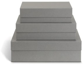 Sivé kartónové úložné boxy v súprave 3 ks s vekom/dekoratívne 42,5x29,5x13 cm Kian Paper Laminate – Bigso