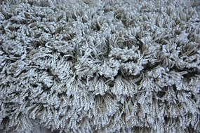 Koberec Micro fiber soft shaggy strieborný