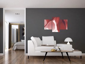 Obraz - Červená abstraktná kvetina N⁰3 (90x60 cm)