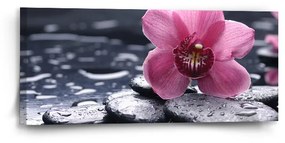 Sablio Obraz Orchidea - 110x50 cm