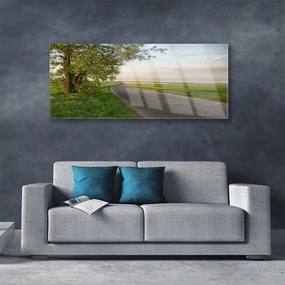 Obraz na akrylátovom skle Scestie strom tráva krajina 125x50 cm