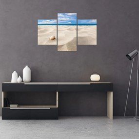 Obraz - Mušle na pláži (90x60 cm)