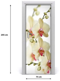 Samolepiace fototapety na dvere orchidea 75x205 cm