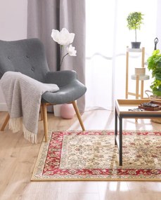 Koberec Agnella Standard Samir krémový
