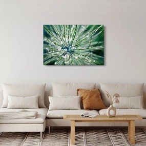 Obraz - Makro snímka kvetu (90x60 cm)