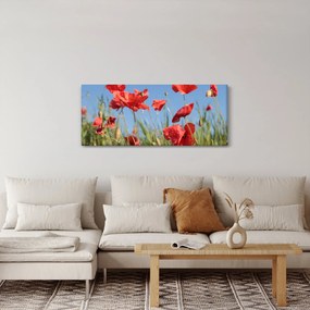 Obraz - Vlčie maky (120x50 cm)