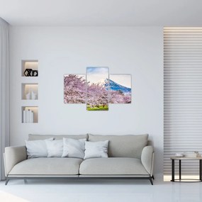Obraz - Japonsko na jar (90x60 cm)