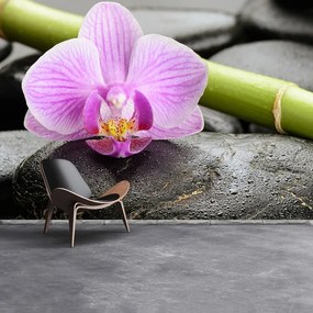 Fototapeta Vliesová Orchidea kamene 416x254 cm