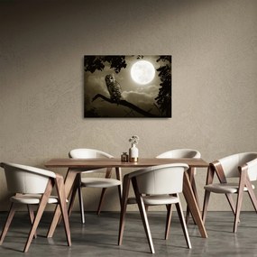 Sklenený obraz - Nočná sova, zlatá (70x50 cm)