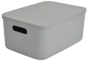 Sivý plastový úložný box s vekom 35,5x25,5x16 cm – Homéa