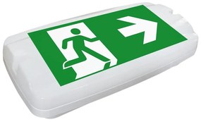 Fulgur 26201 - LED Núdzové svietidlo SAFEBOY LED/6W/230V IP65 6500K FG26201