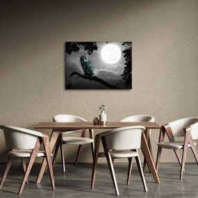 Obraz - Nočná sova, modrá (70x50 cm)