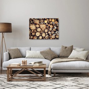 Sklenený obraz - Drevo v snehu (70x50 cm)