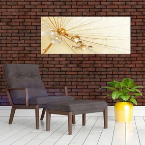 Obraz - Makro fotografie púpavy (120x50 cm)