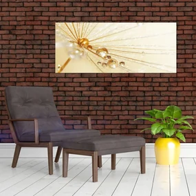 Obraz - Makro fotografie púpavy (120x50 cm)
