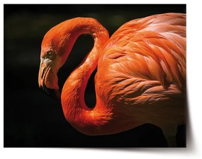 Sablio Plagát Plameniak - 90x60 cm