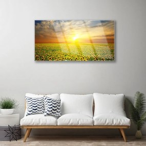 Skleneny obraz Slnko lúka slnečnica 100x50 cm