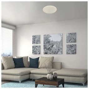 Rabalux 5540-LED Stmievateľné stropné svietidlo DAMIEN LED/24W/230V Wi-Fi + diaľkový ovládač