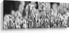 Obraz - Letná lúka (s hodinami) (90x30 cm)
