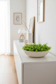 Okrasná miska PLANA, sklolaminát, priemer 34 cm, čierna