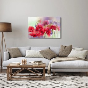 Obraz vlčích makov (90x60 cm)