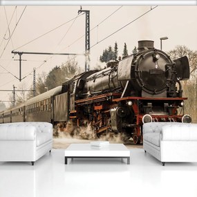 Fototapeta - Parná lokomotíva (254x184 cm)