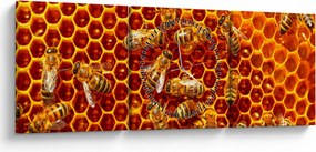 Obraz - Medový plást (s hodinami) (90x30 cm)