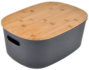 Antracitový plastový úložný box s vekom 24x18x12,5 cm – Homéa