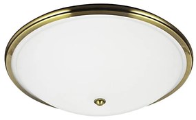 Stropné svietidlo VIOLA 2xE27/40W/230V