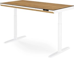 Elektrický písací stôl sit-stand so zásuvkou a bezdrôtovou nabíjačkou Qi biely/zlatý dub, 1400 mm: ELLIS