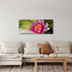 Obraz - Lekno (120x50 cm)