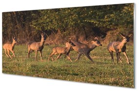 Obraz na akrylátovom skle Deer golf svitania 125x50 cm