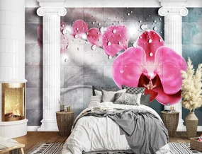 Gario Fototapeta Ružová orchidea kvet Materiál: Vliesová, Rozmery: 450 x 315 cm
