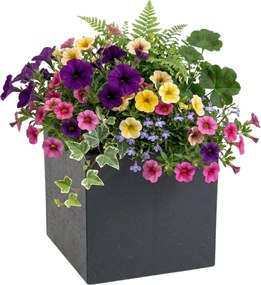 Květináč na kolečkách BETONIQUE - výber z 8 prevedení