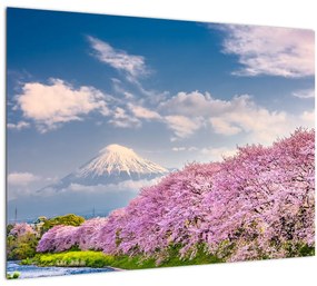 Obraz - Japonská jarná krajina (70x50 cm)