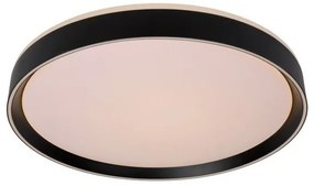 Lucide 79182/36/30 - LED Stmievateľné stropné svietidlo NURIA LED/36W/230V