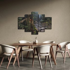 Obraz - V lese (150x105 cm)