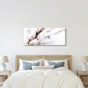 Obraz - Vetva mačičky (120x50 cm)