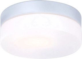 GLOBO 32111 VRANOS vonkajšie stropné svietidlo D185mm 1xE27 IP44 strieborná, opál