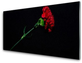 Obraz na akrylátovom skle Kvet rastlina príroda 100x50 cm