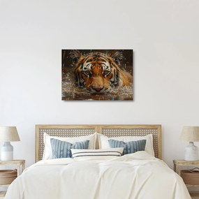 Sklenený obraz - Portrét tigra vo vode (70x50 cm)