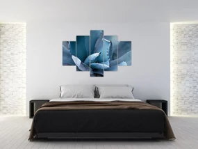 Obraz - Agáve (150x105 cm)