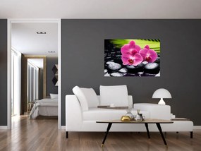 Obraz - Ružové orchidey s palmovým listom (90x60 cm)