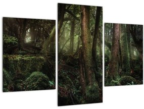Obraz - Tajomný les (90x60 cm)