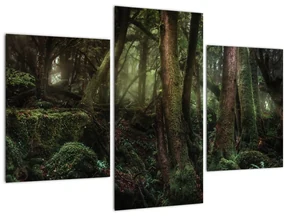 Obraz - Tajomný les (90x60 cm)