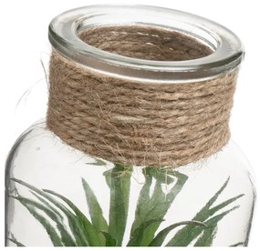 Umelé rastliny v súprave 4 ks (výška 12 cm) Cactus – Casa Selección