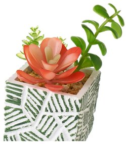 Umelé rastliny v súprave 3 ks (výška 12 cm) Cactus – Casa Selección