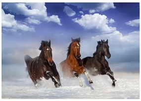 Samolepiaca fototapeta - Horses in the Snow Veľkosť: 147x105, Verzia: Samolepiaca