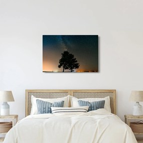 Obraz nočnej oblohy so stromami (90x60 cm)