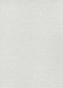 Koberce Breno Metrážny koberec CARLI 91, šíře role 400 cm, sivá